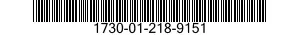 1730-01-218-9151  1730012189151 012189151