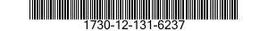 1730-12-131-6237  1730121316237 121316237