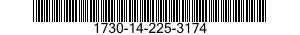 1730-14-225-3174  1730142253174 142253174