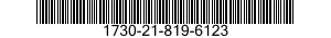 1730-21-819-6123  1730218196123 218196123