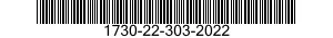 1730-22-303-2022  1730223032022 223032022