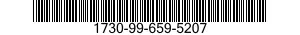 1730-99-659-5207  1730996595207 996595207