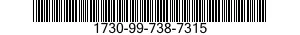 1730-99-738-7315  1730997387315 997387315