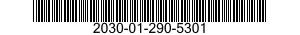 2030-01-290-5301  2030012905301 012905301
