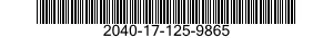 2040-17-125-9865  2040171259865 171259865