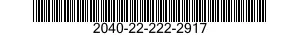 2040-22-222-2917  2040222222917 222222917