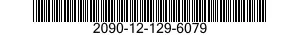2090-12-129-6079  2090121296079 121296079