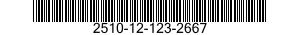2510-12-123-2667  2510121232667 121232667