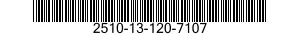2510-13-120-7107 GRILLE,METAL 2510131207107 131207107