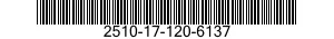 2510-17-120-6137 TORSION BAR,SUSPENSION 2510171206137 171206137