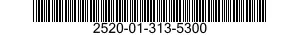 2520-01-313-5300 DRIVE SHAFT ASSEMBLY,CONSTANT VELOCITY,VEHICULAR 2520013135300 013135300