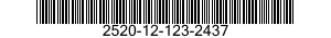 2520-12-123-2437  2520121232437 121232437