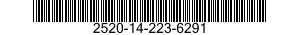 2520-14-223-6291  2520142236291 142236291