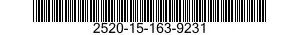 2520-15-163-9231 VALVOLA 2520151639231 151639231