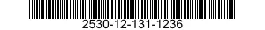 2530-12-131-1236  2530121311236 121311236