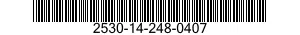 2530-14-248-0407  2530142480407 142480407