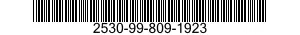 2530-99-809-1923  2530998091923 998091923