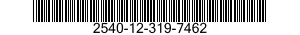2540-12-319-7462  2540123197462 123197462