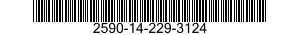 2590-14-229-3124  2590142293124 142293124