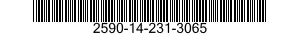 2590-14-231-3065  2590142313065 142313065