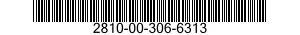 2810-00-306-6313  2810003066313 003066313