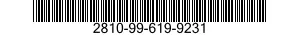 2810-99-619-9231  2810996199231 996199231