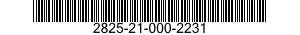 2825-21-000-2231  2825210002231 210002231