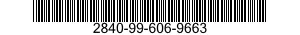 2840-99-606-9663  2840996069663 996069663