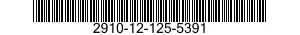 2910-12-125-5391  2910121255391 121255391