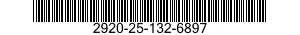 2920-25-132-6897  2920251326897 251326897