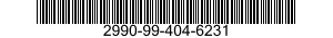 2990-99-404-6231  2990994046231 994046231