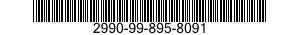 2990-99-895-8091  2990998958091 998958091