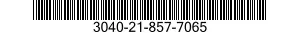 3040-21-857-7065 CONNECTING LINK,RIGID 3040218577065 218577065