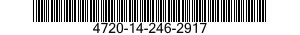 4720-14-246-2917  4720142462917 142462917