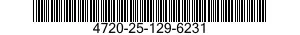4720-25-129-6231  4720251296231 251296231