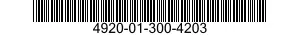 4920-01-300-4203  4920013004203 013004203
