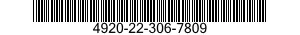 4920-22-306-7809  4920223067809 223067809
