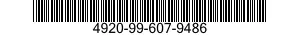 4920-99-607-9486  4920996079486 996079486