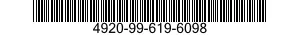 4920-99-619-6098  4920996196098 996196098