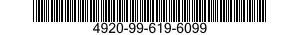 4920-99-619-6099  4920996196099 996196099