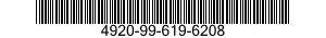 4920-99-619-6208  4920996196208 996196208