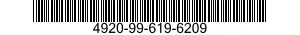 4920-99-619-6209  4920996196209 996196209