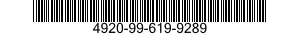 4920-99-619-9289  4920996199289 996199289