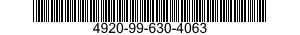 4920-99-630-4063  4920996304063 996304063