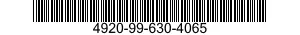 4920-99-630-4065  4920996304065 996304065