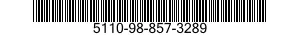 5110-98-857-3289  5110988573289 988573289
