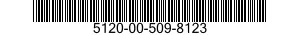 5120-00-509-8123  5120005098123 005098123