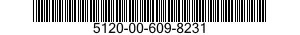 5120-00-609-8231  5120006098231 006098231