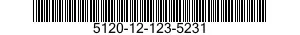5120-12-123-5231  5120121235231 121235231