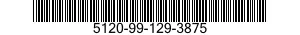 5120-99-129-3875  5120991293875 991293875